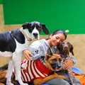 The Most Trusted Dog Boarding in Miami, Book Now!