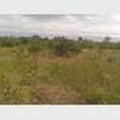 4 acres of land are available for sale by the main police station Osu road