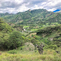 Spectacular 3+ hectares with views