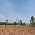 Land for sale in Chiang Rai Province (100 Rai) Owners Post