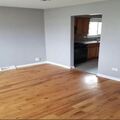 1046 W 103rd Pl, Chicago, IL 60643