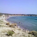 Pi̇cni̇c and Campi̇ng Garden