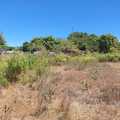 Four acres for sale at Mtondia Kilifi