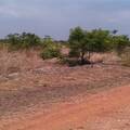 A plot of land for sale behind trade fair la