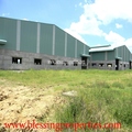 Brand new factory for lease in Binh Duong.