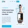 Web development company in India