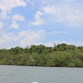 #7018 - 7.84 Acres of Waterfront Property - Toledo, Belize