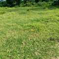 4 plots for sale in Bamburi
