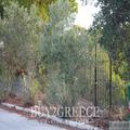 B838 - For Sale 2 Plots Of 1039m2 And 1066m2 (ref. 13734-1282)