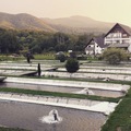 Mountain resort for sale In Transilvania