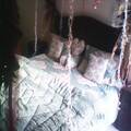 Furnished rooms and houses for rent