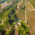 Wine Farm For Sale In Stellenbosch, Western Cape, South Africa