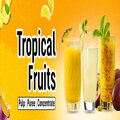IQF Mango, Pineapple & Guava for Beverage and Dessert Production