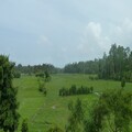 Land with your Own Paddy Field for Sale near Galle