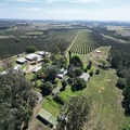 Macadamia Farm For Sale