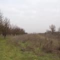 Land 7500 M2 In The Suburbs Of Thessaloniki (ref. 2727)