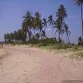 4.5 Acre Beach front land for sale in Sri Lank