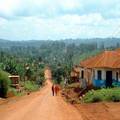 Agriculture and hotel investments