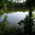 Yucatan Ranch 196 Has and great CENOTE