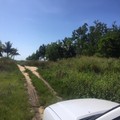 1 plus Acre Prime Beachfront Property for Sale in Commerce Bight Dangriga Town