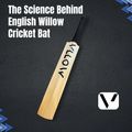 The Science Behind English Willow Cricket Bat