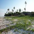 Beautiful 14 ACRES Watamu beach Plot 9 Ksh Million per acre