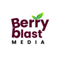 Berry Blast Media Digital Marketing Agency in Mumbai PPC Social Media Marketing SEO