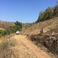 Land for Sale in Wiang Nuea Subdistrict, Pai District (Sale by Owner)