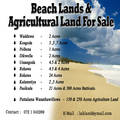 Beach Front Lands For Sale