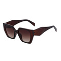 Bold Oversized Brown Frame Sunglasses - Qubyk AU