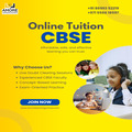 Amore Learning School - Best Online Tuition Platform