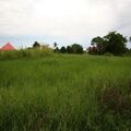 Commercial or residential lot