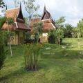 3 Plot Land for sale in Kapong District Phang Nga (Owners Post)