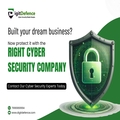 Choose the Right Cyber Security Company