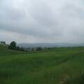 Look For Cooperation In Real Estate Investment In Romania