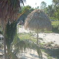 Side by Side Plantation Beach Lots For Sale L369