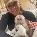 Adorable Capuchin and Squirrel Monkeys