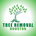 Tree Removal Houston 247