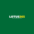 Exploring Lotus365 India Premier Online Betting and Casino Platform