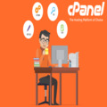 Basic cPanel Hosting in India