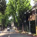 San Lorenzo Village Makati Vacant Lots for Sale