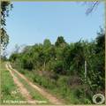 ID-KE236: Plot with 2.4 acre, quiet located at the end of 2nd row in the South of Diani