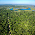 7000 Acres in Southern Belize| Belize Real Estate