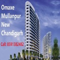 3 bhk for sale in Omaxe Mullanpur