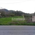 B283 - Land Parcel Of 6000 Sqm In Chania (ref. 13734-655)