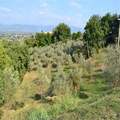 2 Bedroom House In Perugia, Italy (ref. 19824308)