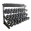 Durable Gym Storage Racks for Organized and Safe Training Spaces