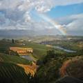 Elgin Country Estate Elgin wine and fruit valley