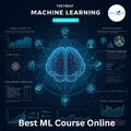 Best ML Course Online Learn Machine Learning with AnalytixLabs