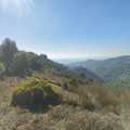 Sea‑View Panoramic Agricultural Land for Sale – Liguria, Imperia
